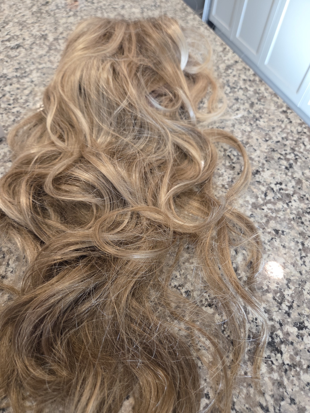 Jon Reanau Light Blonde Lace Front Wig. - Picture 6 of 16